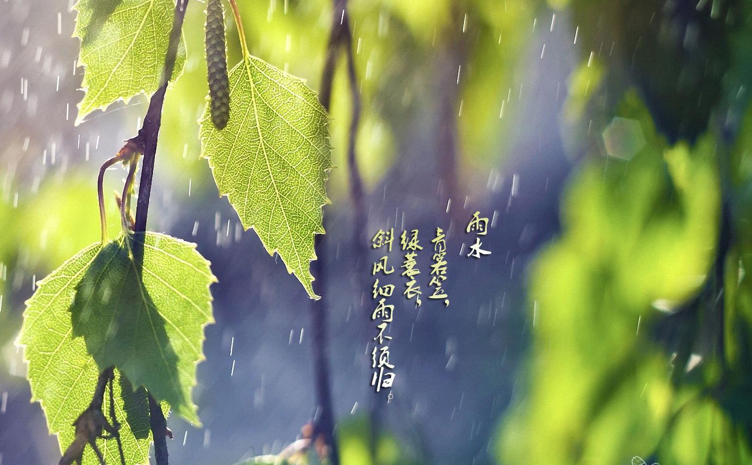 点击图片进入下一页