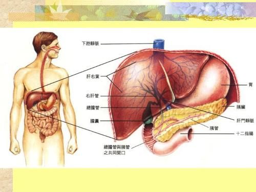 点击图片进入下一页